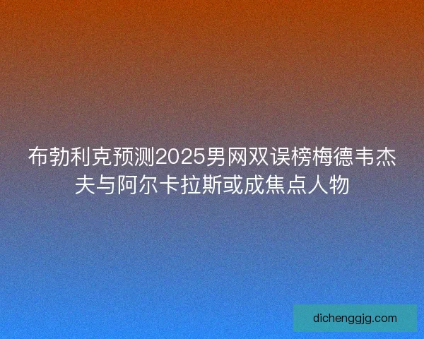 布勃利克预测2025男网双误榜梅德韦杰夫与阿尔卡拉斯或成焦点人物