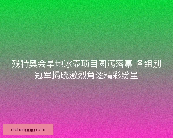 残特奥会旱地冰壶项目圆满落幕 各组别冠军揭晓激烈角逐精彩纷呈